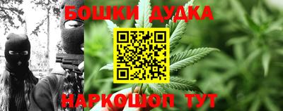 индика Ипатово