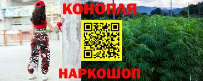 индика Ипатово