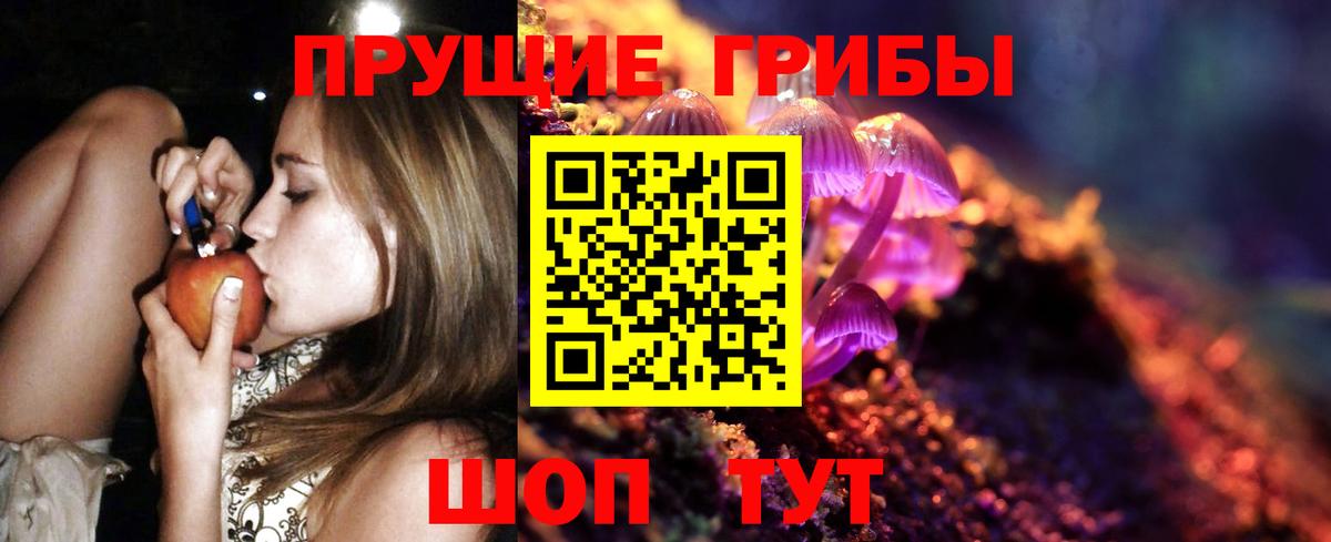 Гагарин  Галлюциногенные грибы Magic Shrooms  хочу   Вход с VPN 